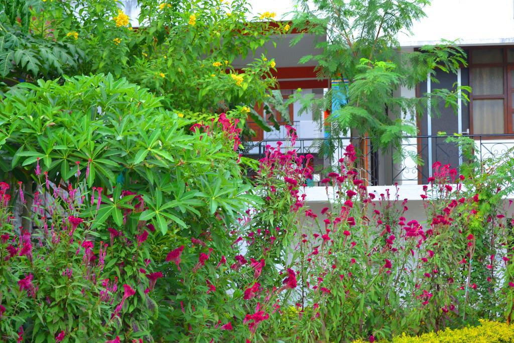 Hotel Harmony Khajuraho Luaran gambar